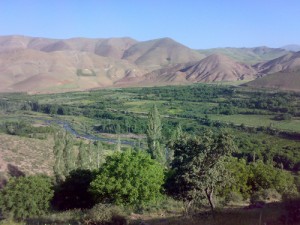 ۱۲۰۶۲۰۱۰۳۱۹