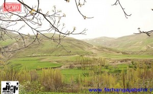 ۶۹c896ff-15c5-4c57-9aed-785b9b00ac3b