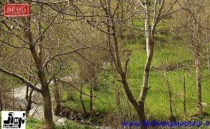 b0027b0c-691e-42bc-be29-aef3852da8c1