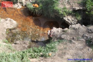 farhangajabshir_Copy12