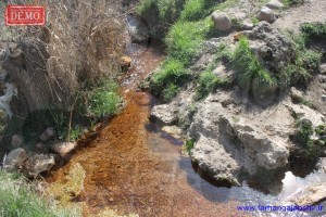 farhangajabshir_Copy5