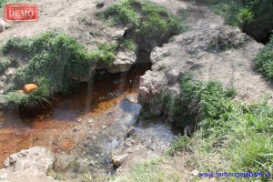 farhangajabshir_Copy8