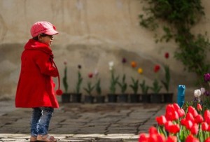 elPress139402011019451429595385ir4