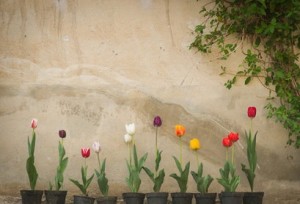 elPress139402011020411429595441ir4