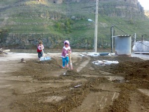 ۰۴۰۱۲۰۰۷۴۳۰