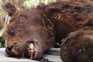 farhangnews_133923-382160-1436273712