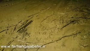 photo_2015-09-18_23-05-43