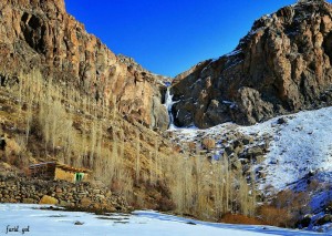 photo_2016-01-15_23-26-47