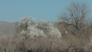 photo_2016-03-15_13-24-49