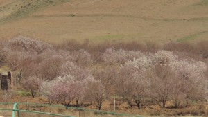 photo_2016-03-15_13-24-53