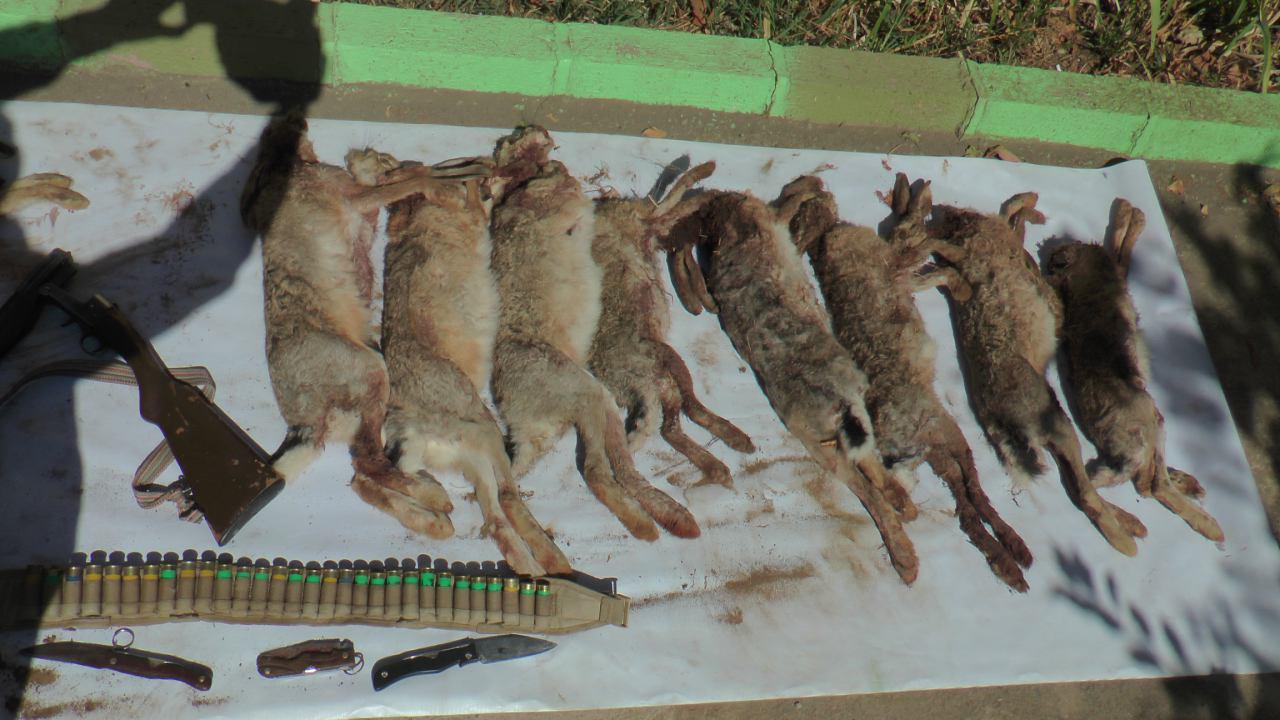 photo_2016-10-04_16-47-21